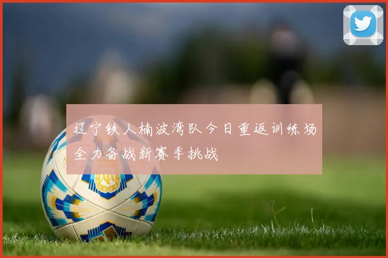 辽宁铁人楠波湾队今日重返训练场全力备战新赛季挑战